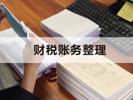 财税账务整理